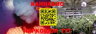 ГАЛЛЮЦИНОГЕННЫЕ ГРИБЫ Нальчик