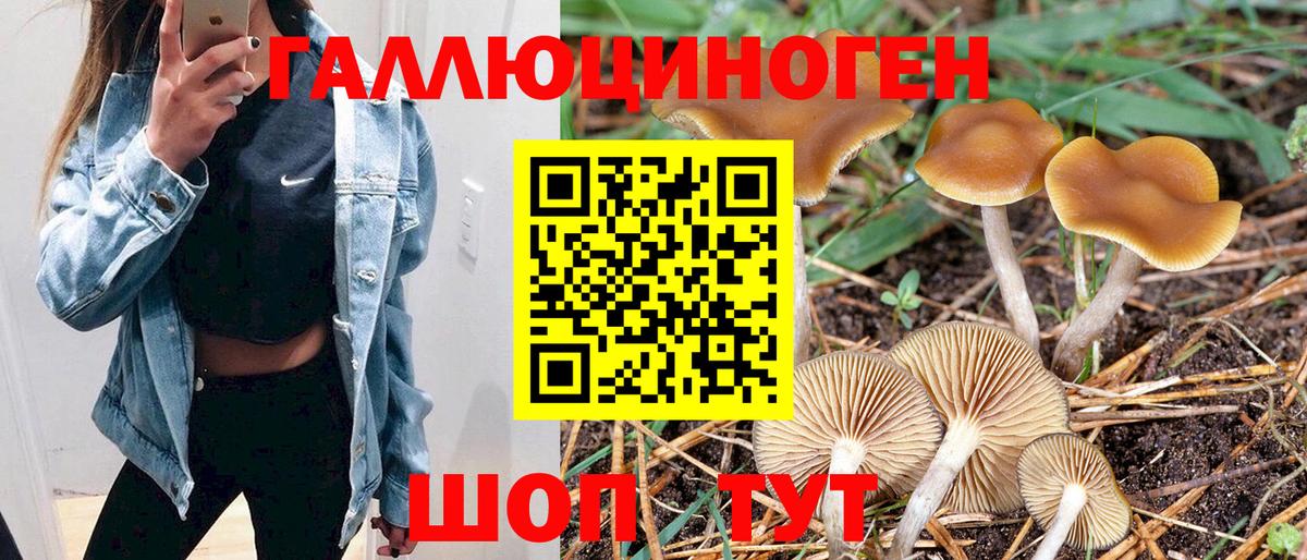 Псилоцибиновые грибы Magic Shrooms  Вход с VPN  Фурманов 